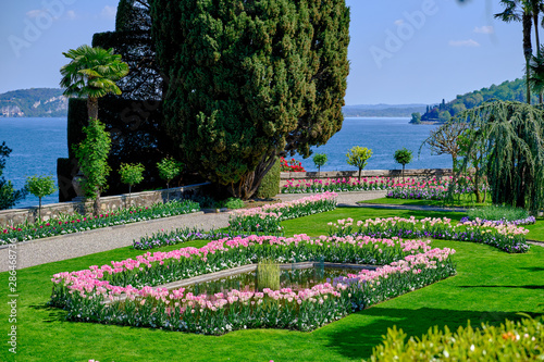 Magnificent park with flowers at the time of flowering. photo