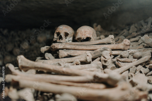 Photography Skull and Bones Paris Catacombs