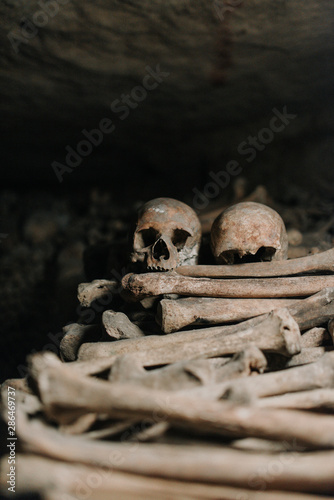 Skull and Bones Paris Catacombs