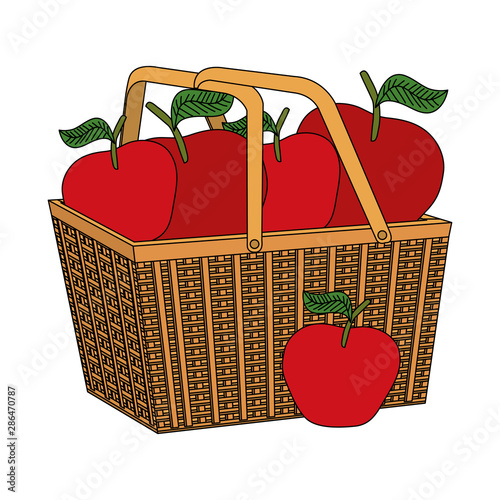 fresh apples fruits in basket straw