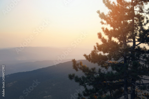 Scenic View of Pine Trees and Mountains. Sunset, Summertime. Travel concept.