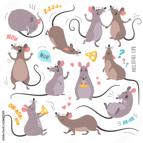 Cartoon rats collection. Vector illustration of funny rats in various poses and actions. Isolated on white.