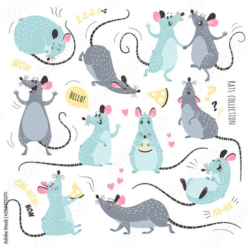 Cartoon rats collection. Vector illustration of funny rats in various poses and actions. Isolated on white.