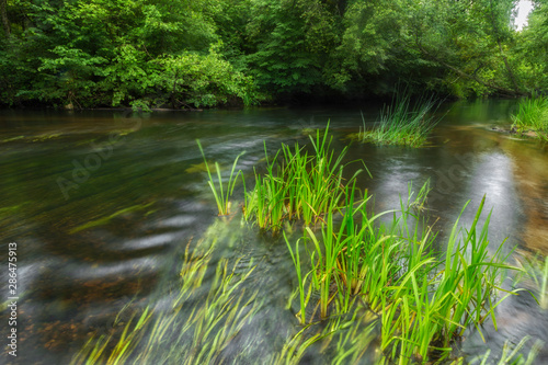 Fast Flowing river with green grass in water. Long exposure