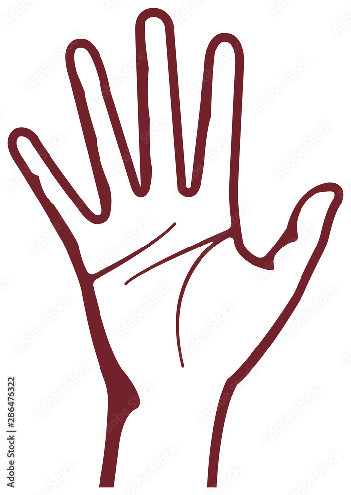custom made wallpaper toronto digitalFemale hand gesture (hand sign) vector illustration / open hand 