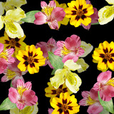 Beautiful floral background of alstroemeria and marigolds. Isolated