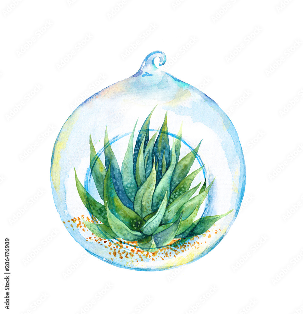Naklejka premium Succulent in glass ball. Watercolor