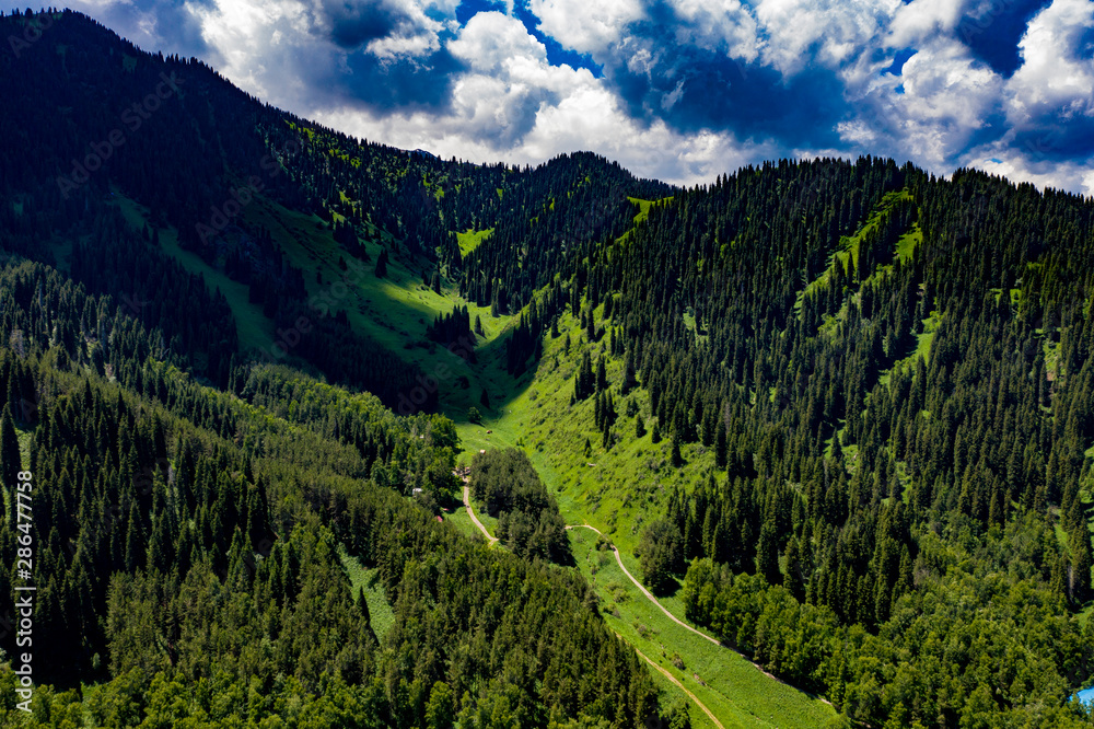 Naklejka premium Gorgeous greens in the landscape and with light painted.