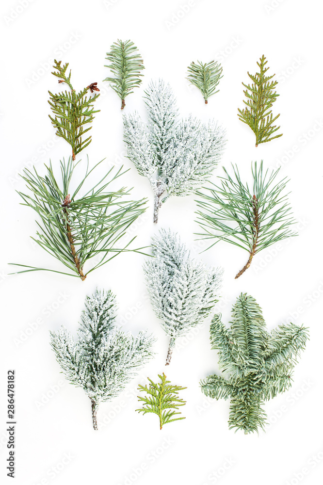 Different Christmas tree branch. Composition of green fir twig, pine and spruce isolated on white background Different Christmas tree branch. Composition of green fir twig, pine and spruce isolated on white background