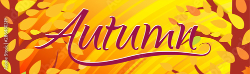 Horizontal bright orange banner, Hello autumn. Autumn forest background with falling leaves. Vector illustrations for flyers, leaflet, web.