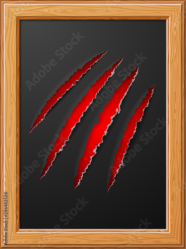 Scratch Claws of Animal