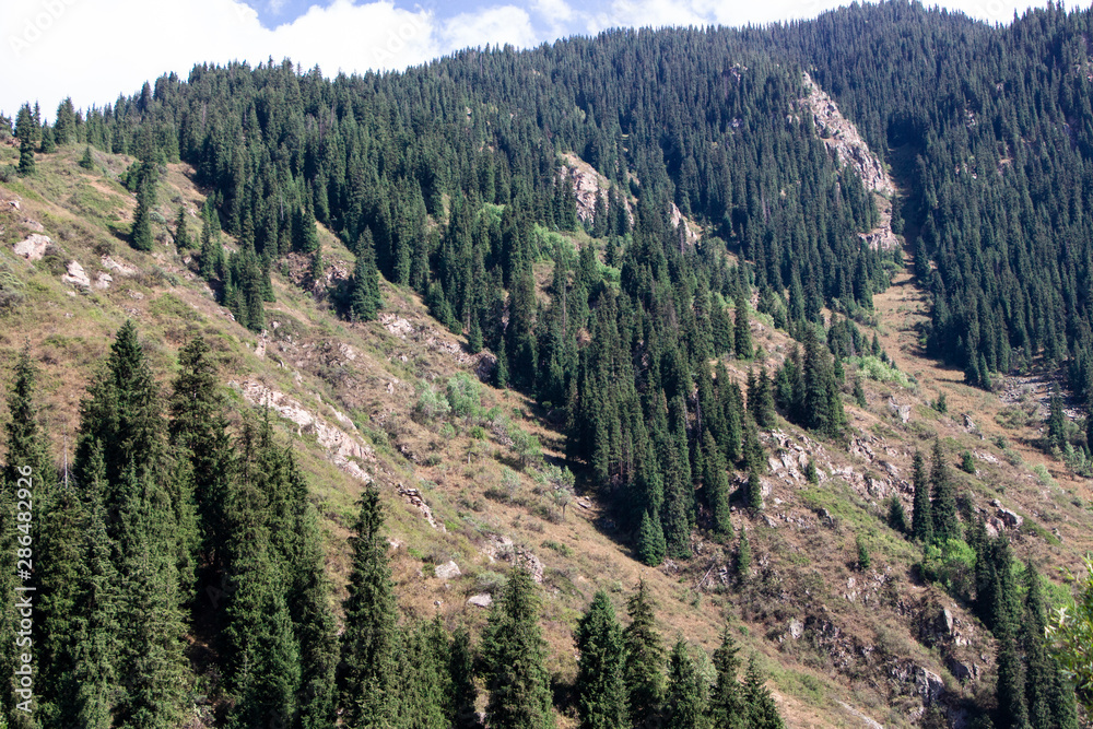 Fototapeta premium view of mountains