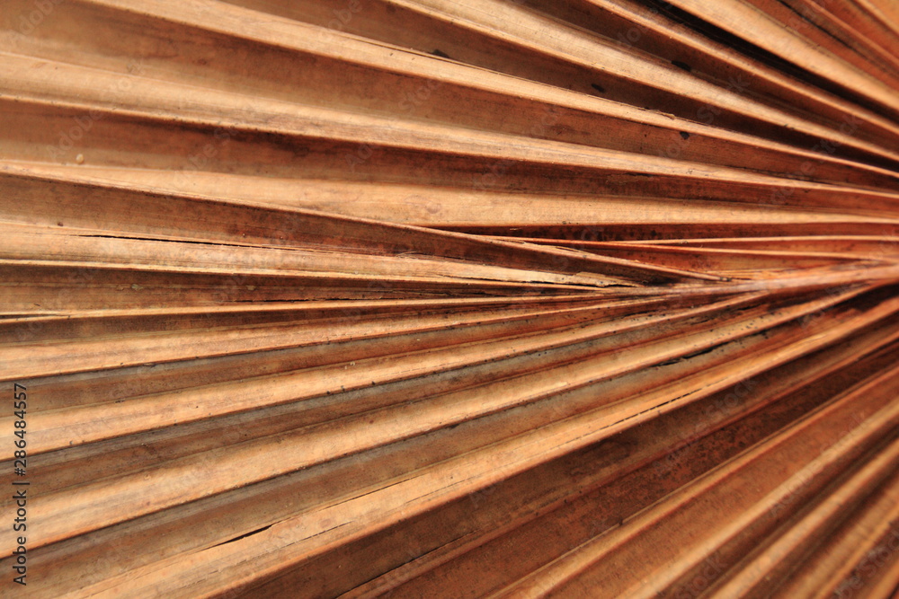Dry palm leave texture brown color Dry palm leave texture brown color