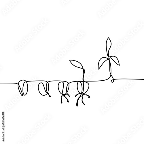 Phase of plant life continuous one line drawing minimalist vector illustration from seed, root, and leaves