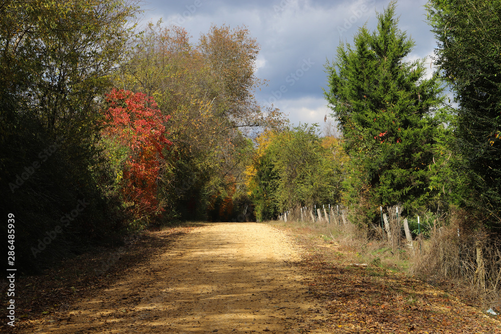 Obraz premium DIrt Road