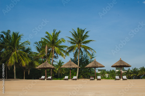Parasols and deck chairs under palms trees on an ocean shore in Phu Quoc island, Vietnam, South Asia