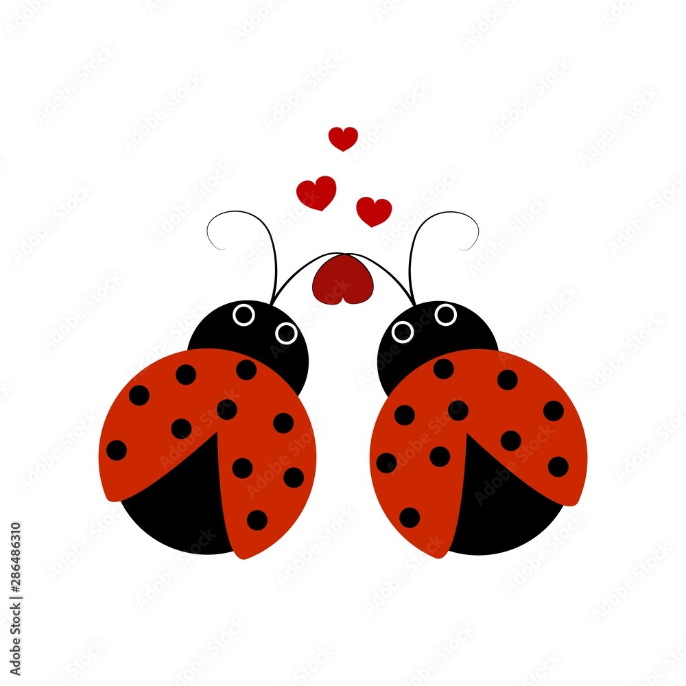 Fototapeta premium Ladybirds isolated. Illustration two ladybug and heart. Cute colorful sign red insect symbol spring, summer, garden. Template for t shirt, apparel, card, poster. Design element Vector illustration.