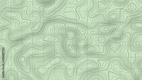 Topographic map lines background. Abstract vector illustration.