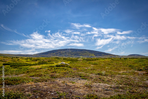 Small Hill in Hetta-Pallas National Park