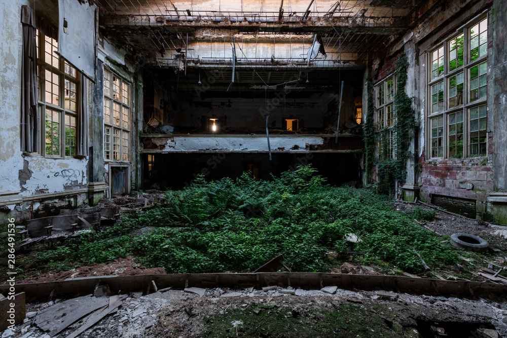 Overgrown Auditorium with Skylights - Abandoned Silver Creek School - New York Overgrown Auditorium with Skylights - Abandoned Silver Creek School - New York
