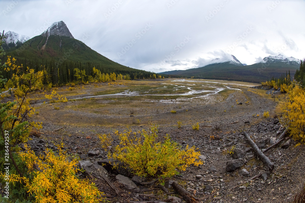 Paisaje otoñal entre las montañas con un cielo nublado, bosque verde y amarillo recién pasada la lluvia  en en parque nacional de Jasper en Alberta canada
