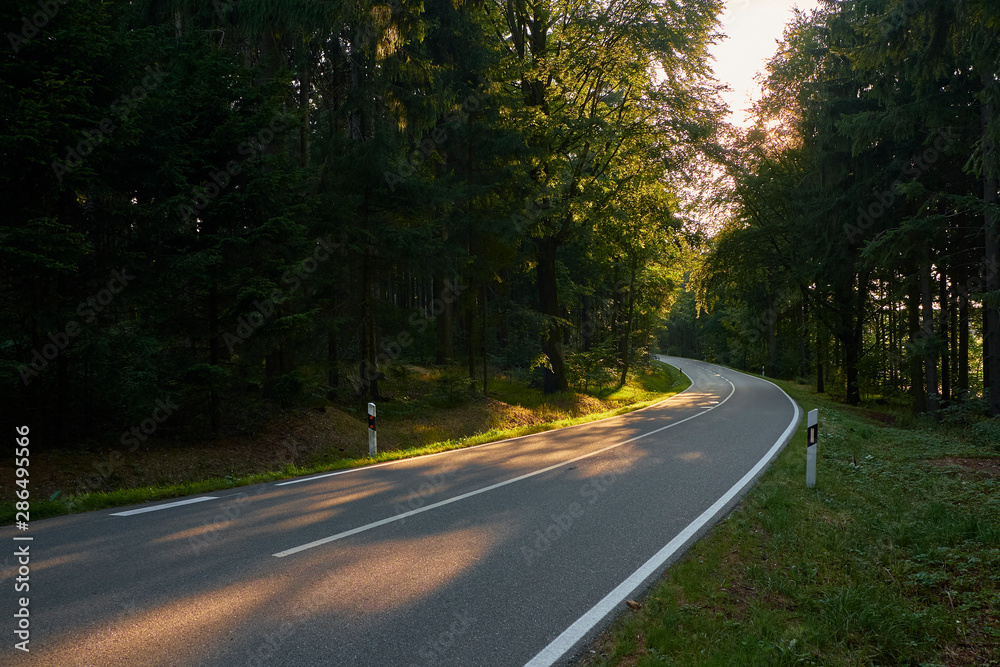 Straße durch Wald