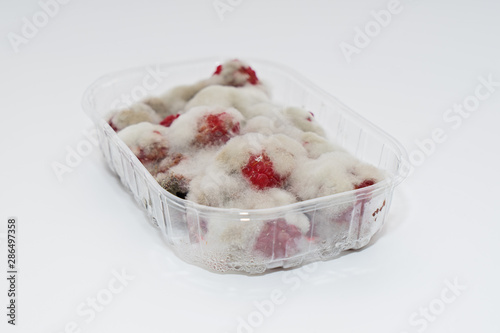 Photography Closeup of rotten moldy raspberry in plastic box isolated on white background