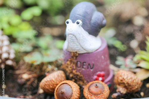 Fototapeta Naklejka Na Ścianę i Meble -  the little snail sculpture Behind the acorn  - Image