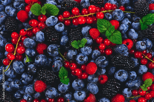 Blackberry, raspberry, blueberry, red currant and mint background.