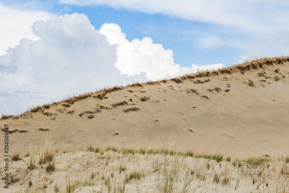Wild sand dunes in Nida, Lithuania. Landscape before the storm, sand and wind, dark sky. Wild sand dunes in Nida, Lithuania. Landscape before the storm, sand and wind, dark sky.