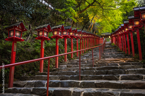 京都府 貴船神社 新緑