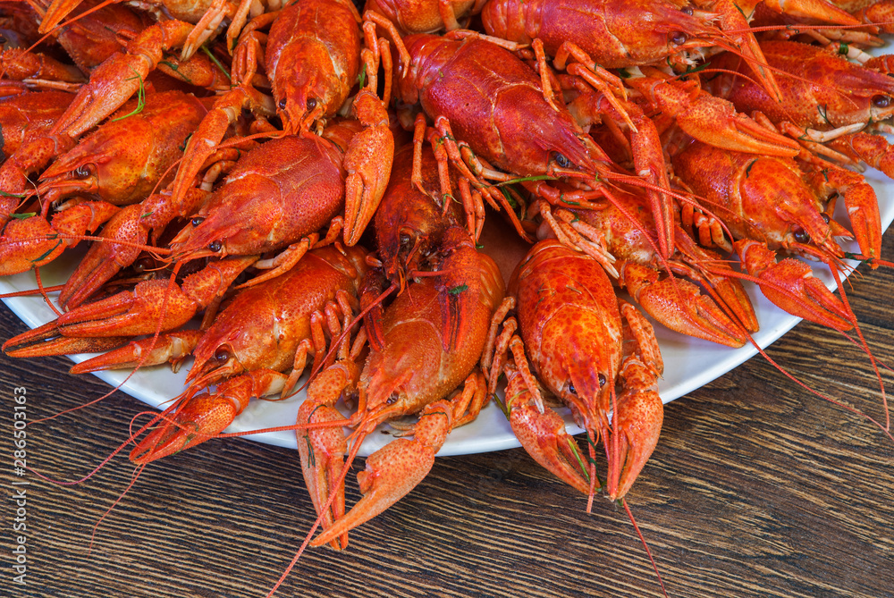 Still life with crayfish crawfish on old wooden background Still life with crayfish crawfish on old wooden background