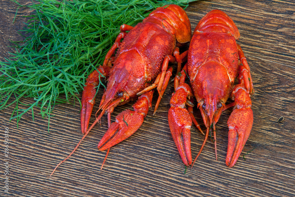 Boiled crayfish with dill on wooden background Boiled crayfish with dill on wooden background