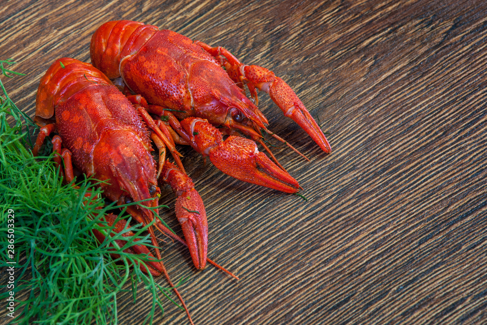 Boiled crayfish with dill on wooden background Boiled crayfish with dill on wooden background