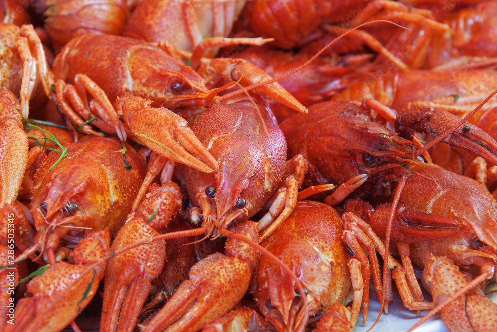 Still life with crayfish crawfish on old wooden background Still life with crayfish crawfish on old wooden background