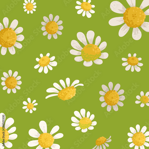 Chamomile field flowers on green background pattern with beautiful floral orn...