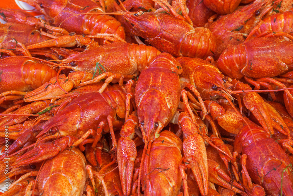 Still life with crayfish crawfish on old wooden background