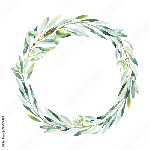 Watercolor olive wreath. Sketch of olive branch on white background.