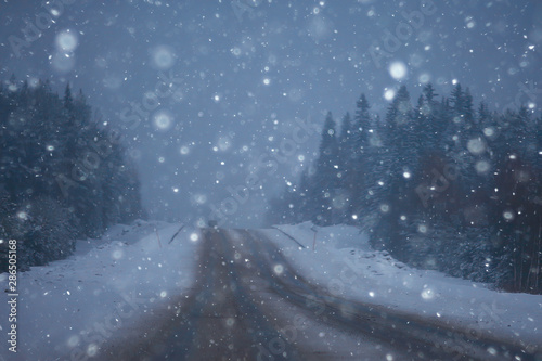 snow and fog on the winter road landscape / view of the seasonal weather a dangerous road, a winter lonely landscape