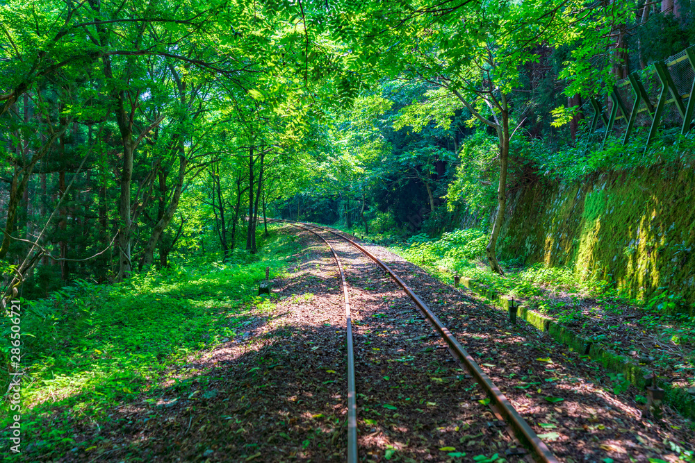 Obraz premium 神岡レールマウンテンバイク ガッタンゴーの風景(渓谷コース) 