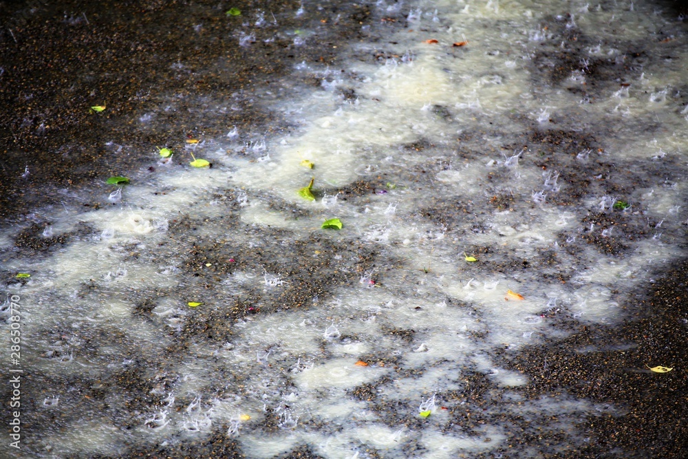Obraz premium water flowing on ground