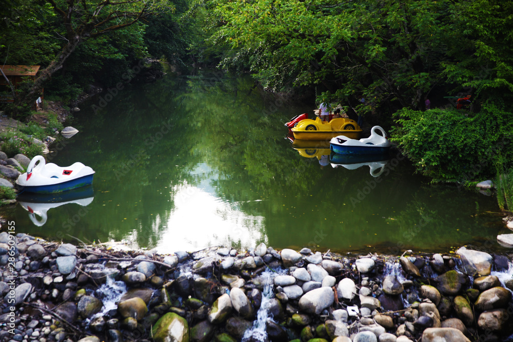 Fototapeta premium Clean river in green summer forest 