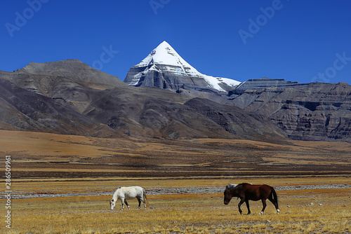 mountains. snow peaks near the lake landscape photo