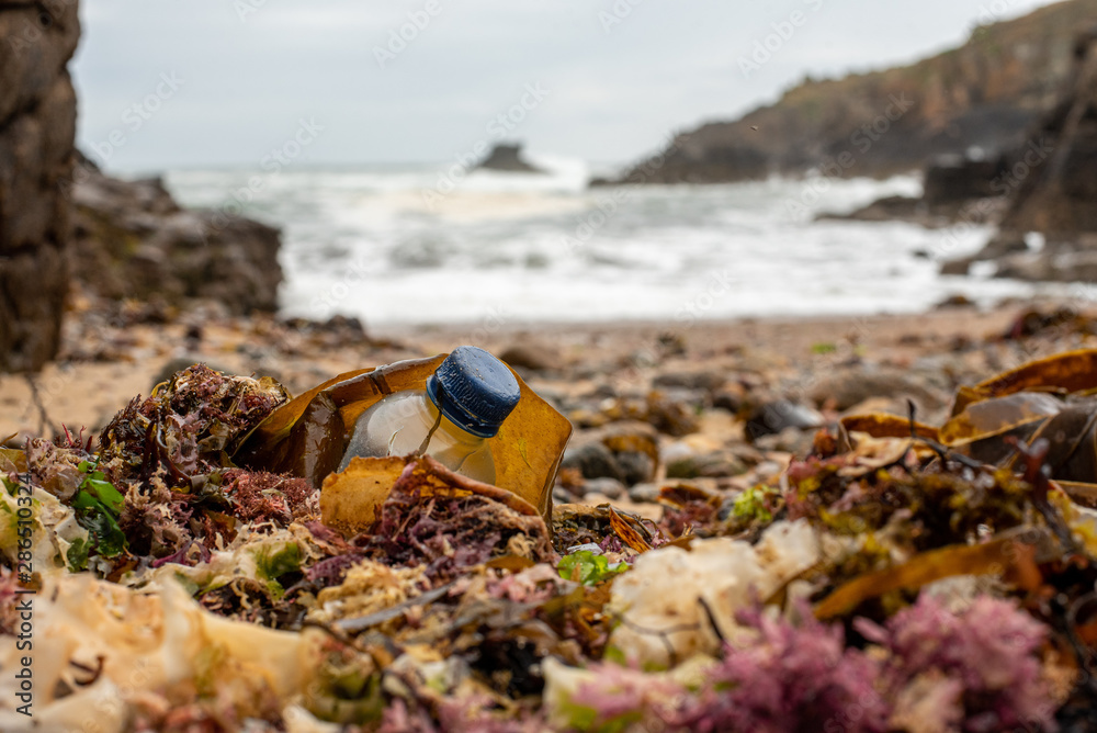 Obraz premium Plastique et algues