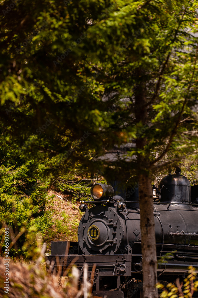 Antique Steam Shay Locomotive Train in Appalachian Forest - Historic Cass Scenic Railroad - West Virginia