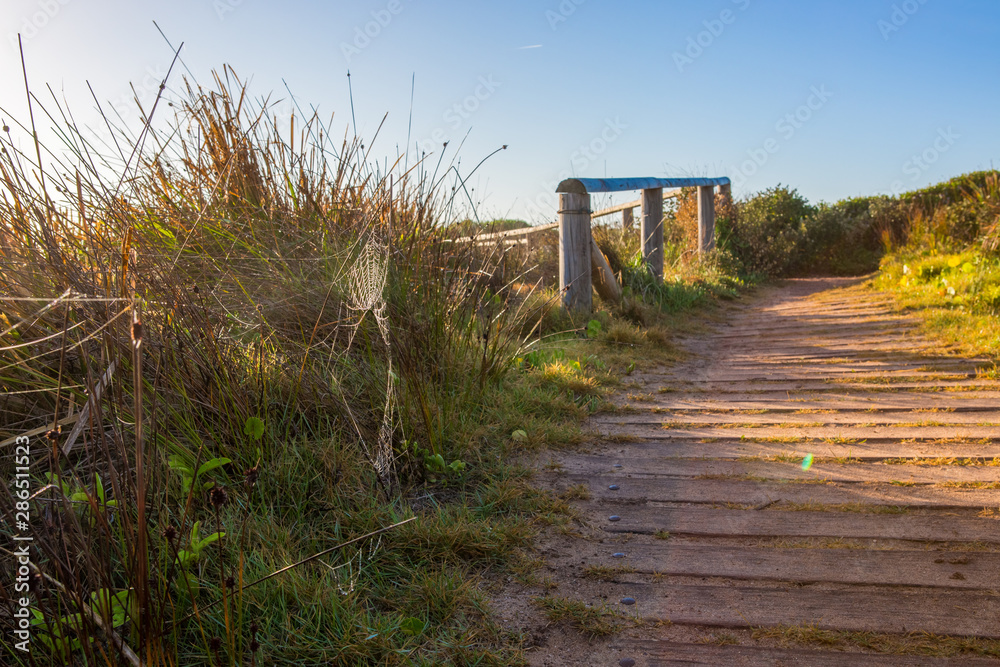 Beach side path with a sunset in the background.