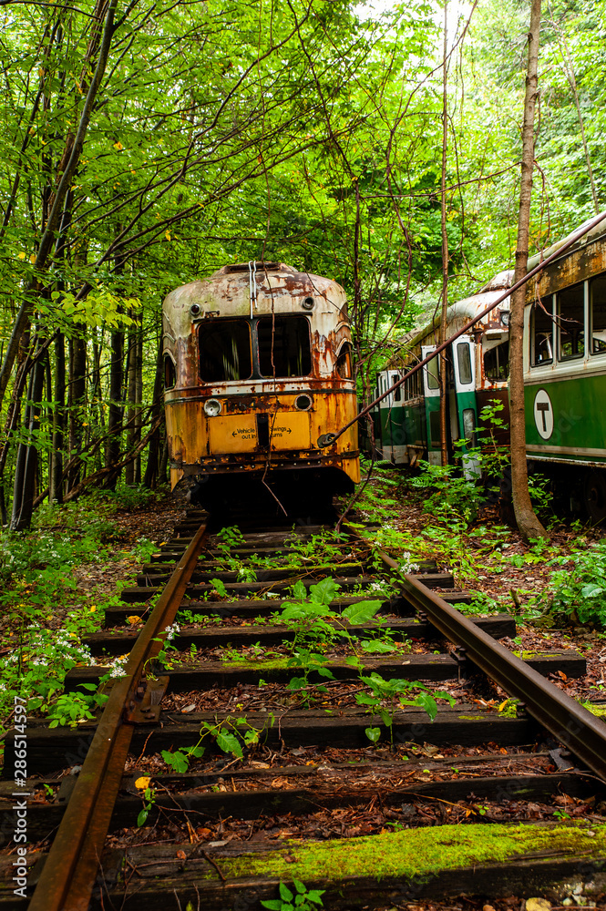Naklejka premium Abandoned Historic Trolleys / Streetcars on Railroad Tracks - Appalachian Mountains - Pennsylvania