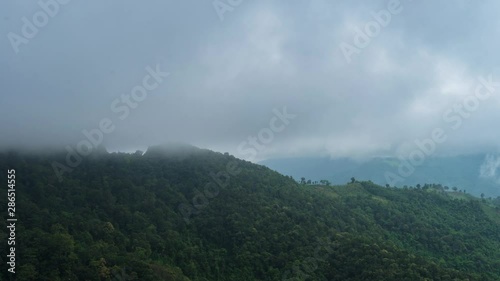 Wallpaper Mural The Time-Lapse fog at the top of the mountain Rainy season in Thailand. Torontodigital.ca