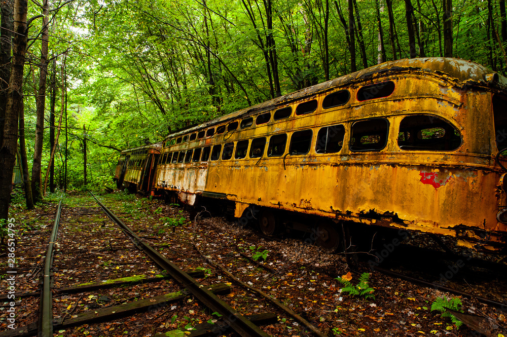 Fototapeta premium Abandoned Historic Trolleys / Streetcars on Railroad Tracks - Appalachian Mountains - Pennsylvania