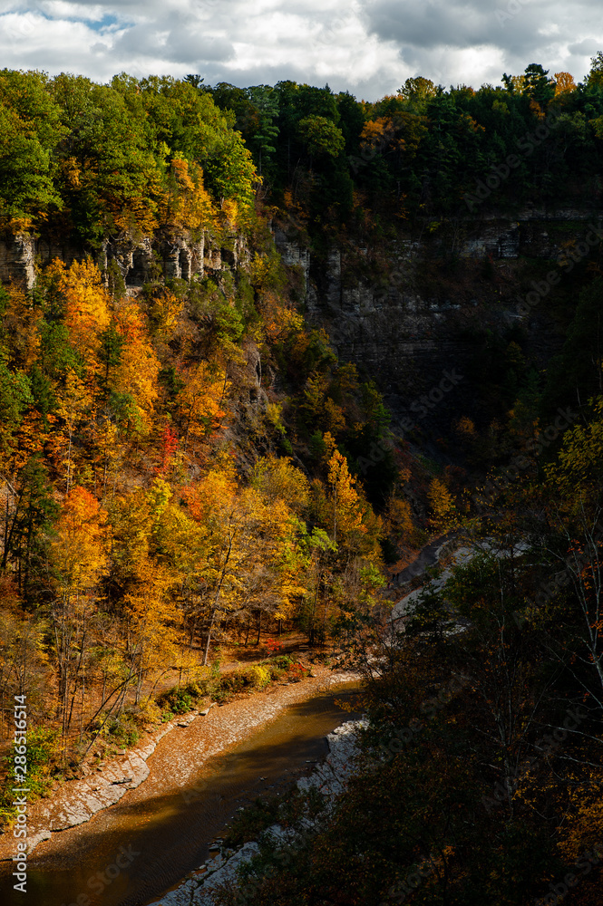 Deep Canyon Surrounded by Peak Autumn / Fall Season - Ithaca, New York Deep Canyon Surrounded by Peak Autumn / Fall Season - Ithaca, New York